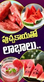 పుచ్చకాయతో ఎన్నో లాభాలు